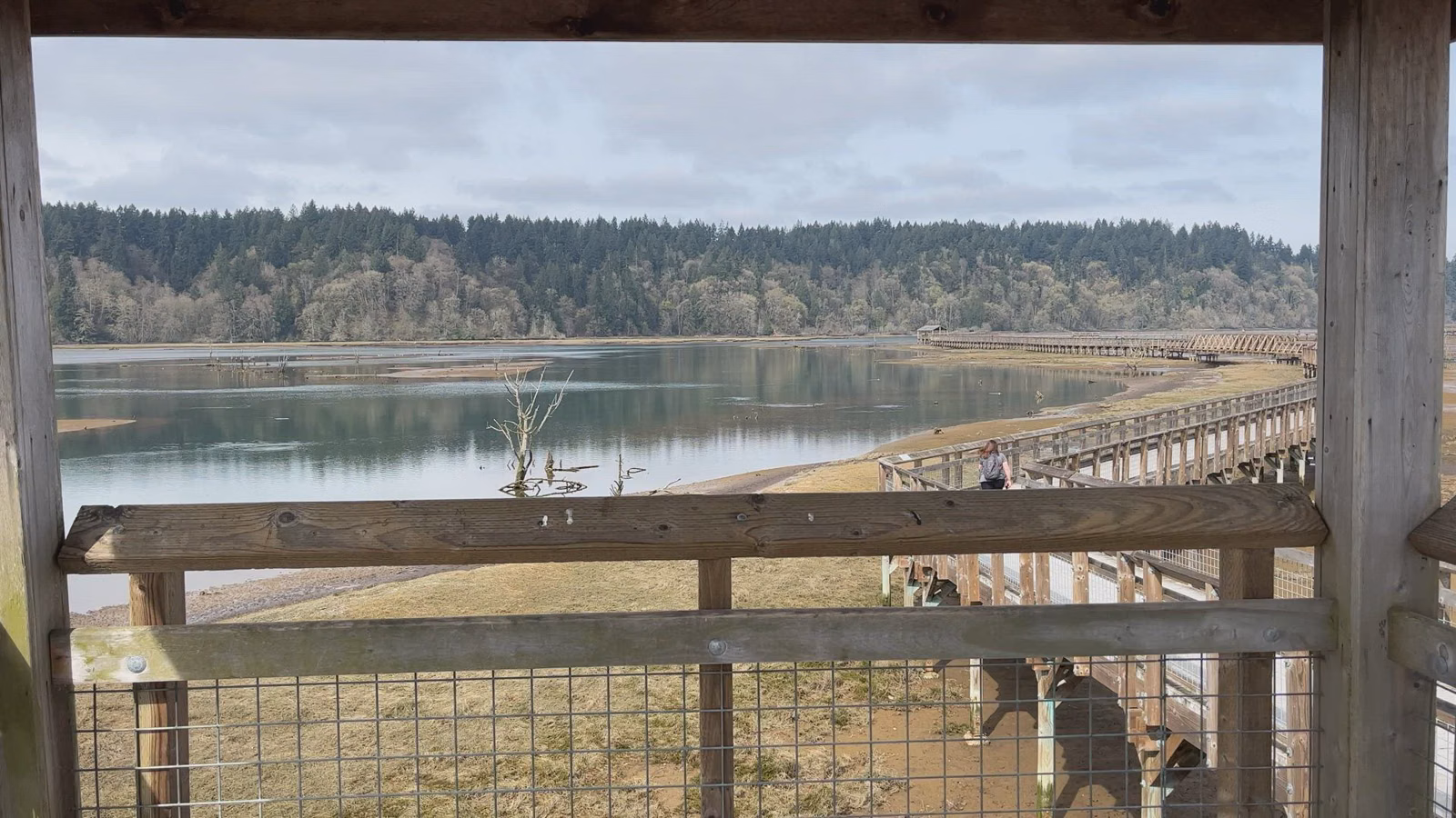 A view from a wooden lookout across water to a low forested shore