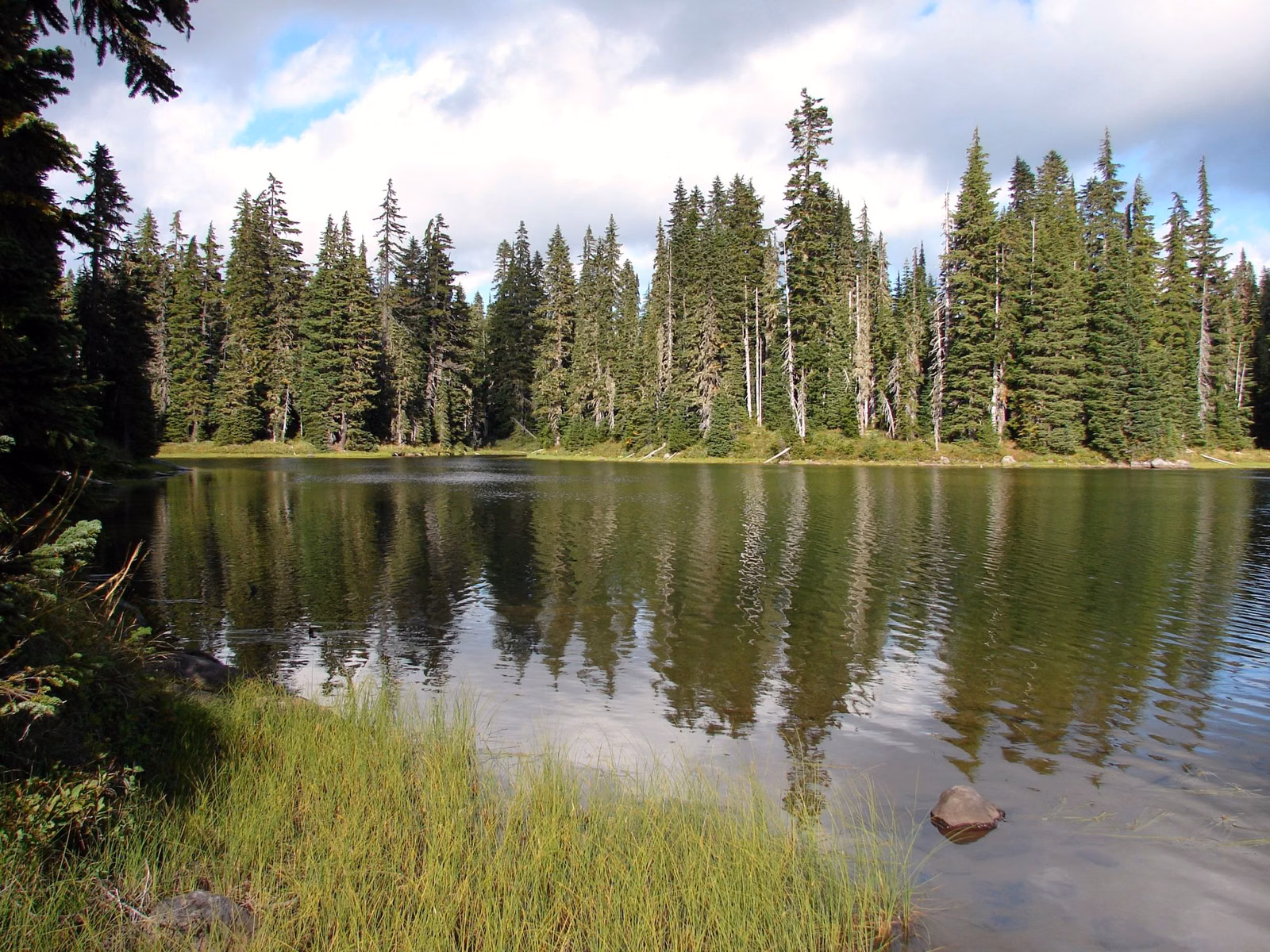 A calm lake reflecting a shore of tall firs under a partly cloudy sky
