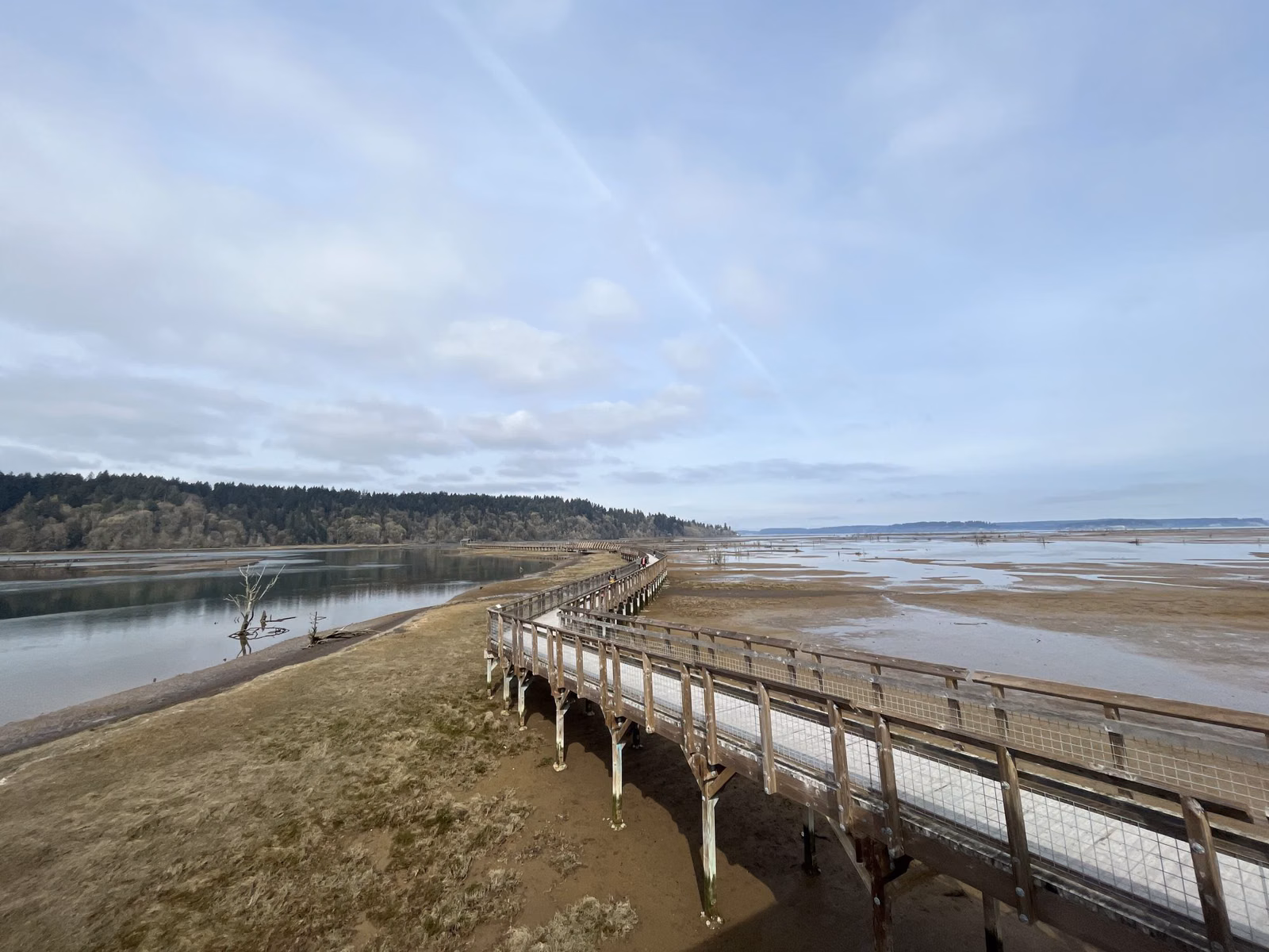 A long boardwalk over a tide flat with a forested shore behind it