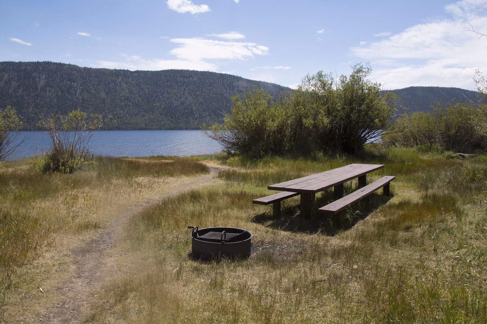 A picnic table and a metal fire ring on a grassy lakeshore